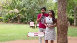 Agni Sakshi S01E423 Bad News for Shanker Full Episode