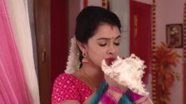 Agni Sakshi S01E454 Gowri Tends to Shanker Full Episode