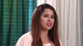 Agni Sakshi S01E457 Meera Is on Cloud Nine Full Episode