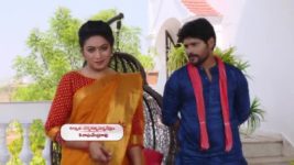 Agni Sakshi S01E478 Gowri Forbids Shanker Full Episode