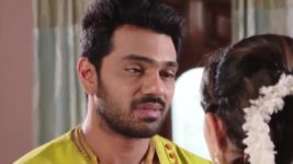 Agni Sakshi S01E484 Shanker's Request to Gowri Full Episode