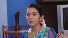 Agni Sakshi S01E493 Gowri Confronts Shanker Full Episode