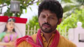 Agni Sakshi S01E495 A Shock Awaits Shanker and Family Full Episode