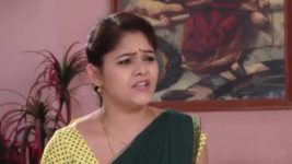 Agni Sakshi S01E506 Gowri Feels Elated Full Episode