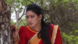 Agni Sakshi S01E512 Manikanta's Evil Plan Full Episode