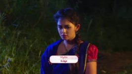 Agni Sakshi S01E554 Gowri Tends to Shanker Full Episode