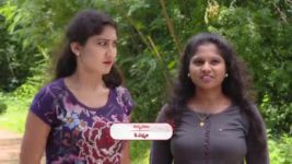 Agni Sakshi S01E558 Bhairavi Has Another Idea Full Episode