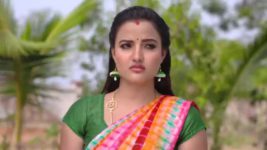 Agni Sakshi S01E692 Shanker Expresses His Love Full Episode