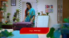 Ennenno Janmala Bandham S01E101 Varadharaju and Sulochana are Joyful Full Episode