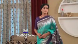 Kumkuma Puvvu (Maa Tv) S05 E45 Anand's Mother Curses Jayanthi