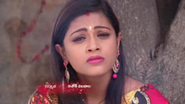 Kumkuma Puvvu (Maa Tv) S07 E33 Jaychandra Faces Jayanthi's Ire