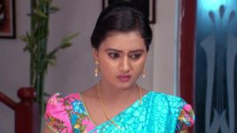 Kumkuma Puvvu (Maa Tv) S07 E37 Jayanthi Disappoints Amrutha