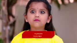 Kumkuma Puvvu (Maa Tv) S08 E1104 Raghuram, Jayanthi Are Joyful