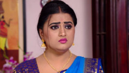 Kumkuma Puvvu (Maa Tv) S08 E1113 Amrutha Has a Request