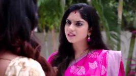 Kumkuma Puvvu (Maa Tv) S08 E1134 Amrutha Gets Shattered