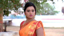 Kumkuma Puvvu (Maa Tv) S08 E131 Trouble for Amrutha