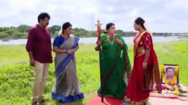 Kumkuma Puvvu (Maa Tv) S08 E1331 Amrutha Seeks Forgiveness