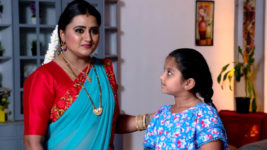 Kumkuma Puvvu (Maa Tv) S08 E1337 Good News for Amrutha