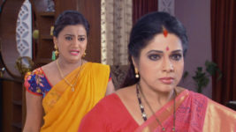 Kumkuma Puvvu (Maa Tv) S08 E134 Amrutha's Request to Jayanthi