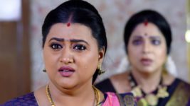 Kumkuma Puvvu (Maa Tv) S08 E1389 Amrutha's Emotional Outburst