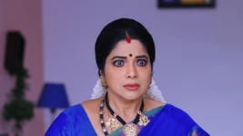 Kumkuma Puvvu (Maa Tv) S08 E1418 A Shock Awaits Jayanthi