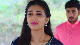 Kumkuma Puvvu (Maa Tv) S08 E1514 Amulya's Shattered Dreams