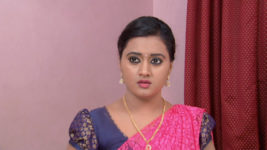 Kumkuma Puvvu (Maa Tv) S08 E163 Amrutha Wants Out