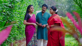 Kumkuma Puvvu (Maa Tv) S08 E1694 Amulya Is Joyful