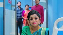 Kumkuma Puvvu (Maa Tv) S08 E1708 Amulya Is Crumbled