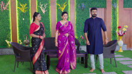 Kumkuma Puvvu (Maa Tv) S08 E1714 Kaveri, Amrutha's Clash