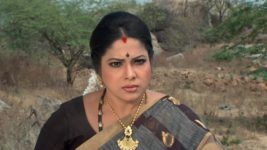 Kumkuma Puvvu (Maa Tv) S08 E174 Jayanthi Assaults Amrutha