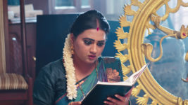 Kumkuma Puvvu (Maa Tv) S08 E1744 Amrutha Unfolds the Truth