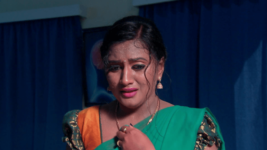 Kumkuma Puvvu (Maa Tv) S08 E179 Can Amrutha Save Rudra?