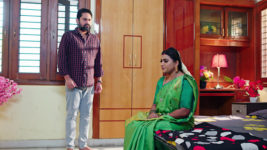 Kumkuma Puvvu (Maa Tv) S08 E1820 Amrutha Has a Plan