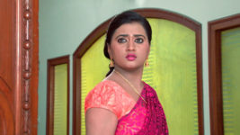 Kumkuma Puvvu (Maa Tv) S08 E197 Amrutha Learns the Reason