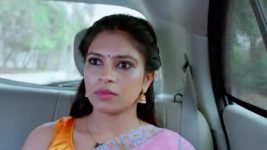 Kumkuma Puvvu (Maa Tv) S08 E2027 Sagar, Asha's Win