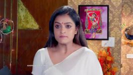 Kumkuma Puvvu (Maa Tv) S08 E2064 Asha's Selfish Motive