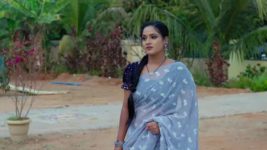 Kumkuma Puvvu (Maa Tv) S08 E2091 A Concern for Arun, Amrutha