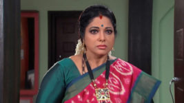 Kumkuma Puvvu (Maa Tv) S08 E252 Jayanthi is Hopeful