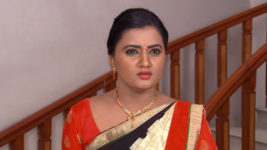 Kumkuma Puvvu (Maa Tv) S08 E256 Amrutha to Sign the Divorce Papers?