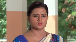 Kumkuma Puvvu (Maa Tv) S08 E269 What will Amrutha's Answer be?