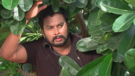 Kumkuma Puvvu (Maa Tv) S08 E27 Rudra Confronts Renuka