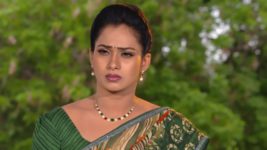 Kumkuma Puvvu (Maa Tv) S08 E293 Amrutha's Request to Prathibha