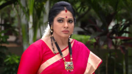 Kumkuma Puvvu (Maa Tv) S08 E297 Jayanthi's Plea to Amrutha