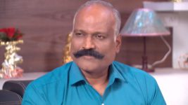 Kumkuma Puvvu (Maa Tv) S08 E367 Vishwanath's Assurance to Amrutha