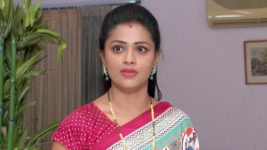 Kumkuma Puvvu (Maa Tv) S08 E368 Renuka Worries for Jayanthi