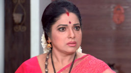 Kumkuma Puvvu (Maa Tv) S08 E369 Jayanthi Learns the Truth