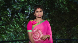 Kumkuma Puvvu (Maa Tv) S08 E422 Siri Plots Against Amrutha