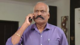 Kumkuma Puvvu (Maa Tv) S08 E434 A Shock Awaits Vishwanath