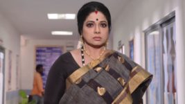 Kumkuma Puvvu (Maa Tv) S08 E449 A Dreadful News Hits Jayanthi